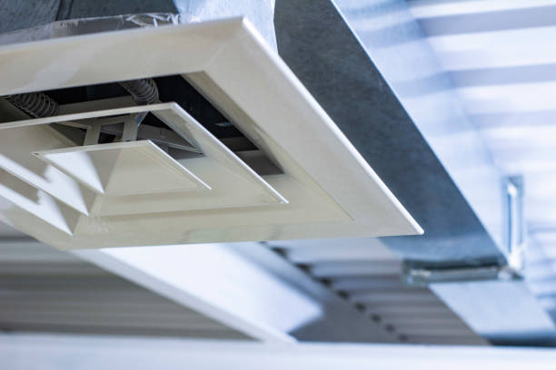Best Air Vent Cleaning Services  in Azalea Park, FL