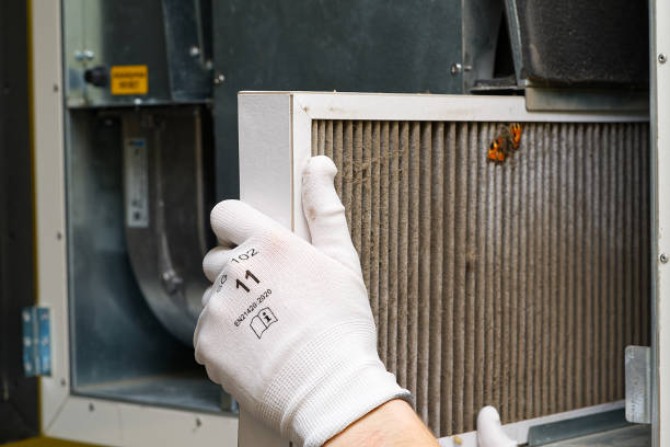 Best Commercial Air Duct Cleaning  in Azalea Park, FL