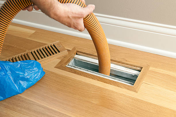 Air Duct Mold Removal in FL